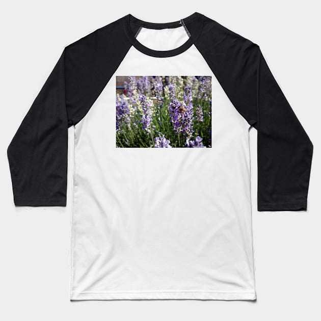 lavender Baseball T-Shirt by Gourmetkater